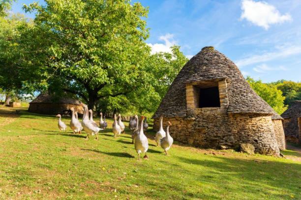 Appartamento La Venelle Sarlat Esterno foto